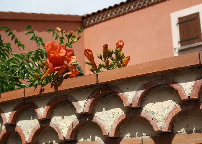 Le Patio